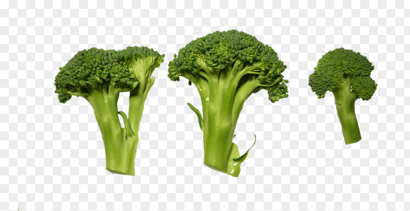 Broccoli Vegetable Clip Art PNG