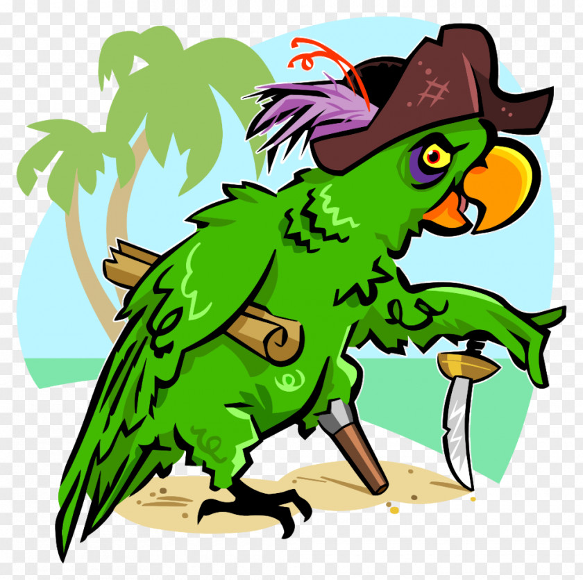 Parrot Piracy Pirate Art Clip PNG