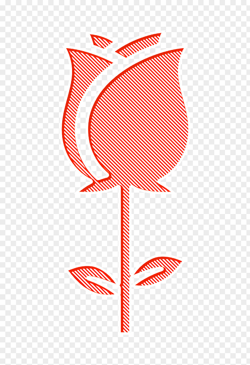 Rose Icon Blossoms Flower PNG
