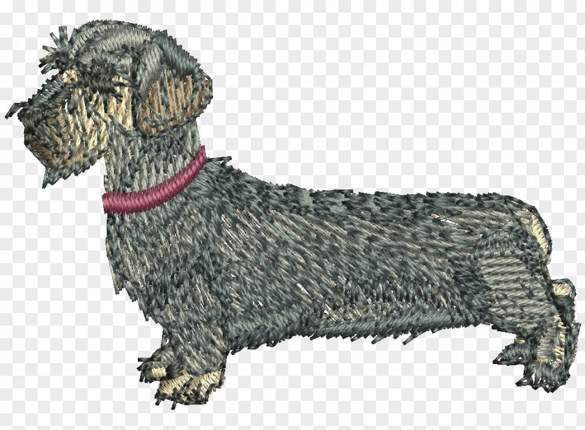Terry Crews Cesky Terrier Dachshund Dog Breed Razas Nativas Vulnerables PNG