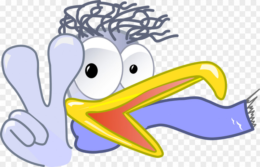 Gull Donald Duck Cartoon Clip Art PNG