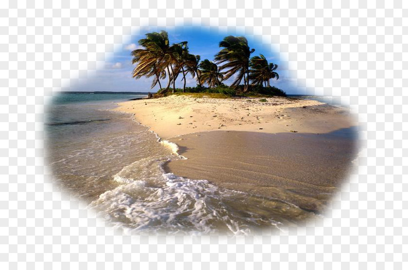 Plage Desktop Wallpaper Beach Caribbean Coron PNG