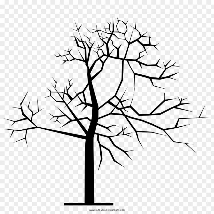 Tree Twig Coloring Book Drawing Clip Art PNG