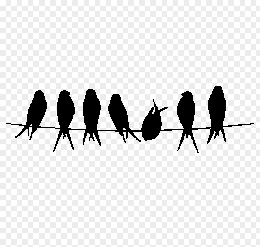 Bird Stencil Silhouette Owl Common Kingfisher PNG