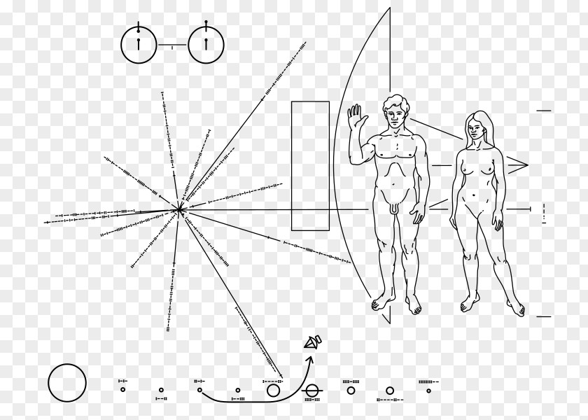 Carl Sagan Pioneer Program Voyager Plaque 10 1 PNG