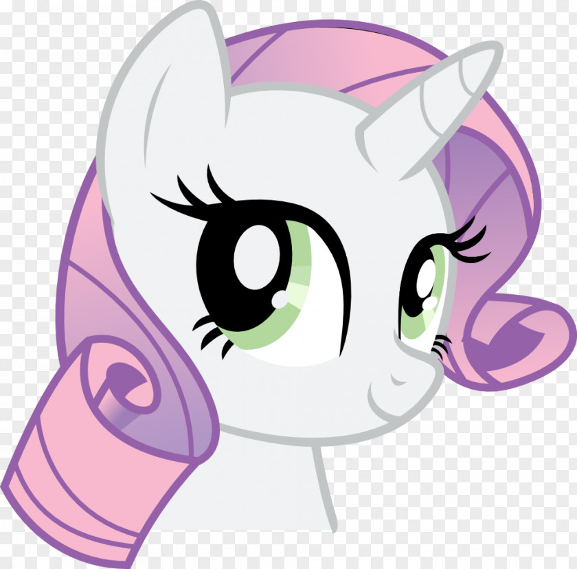 Cat Whiskers Pony Rarity Rainbow Dash Pinkie Pie PNG