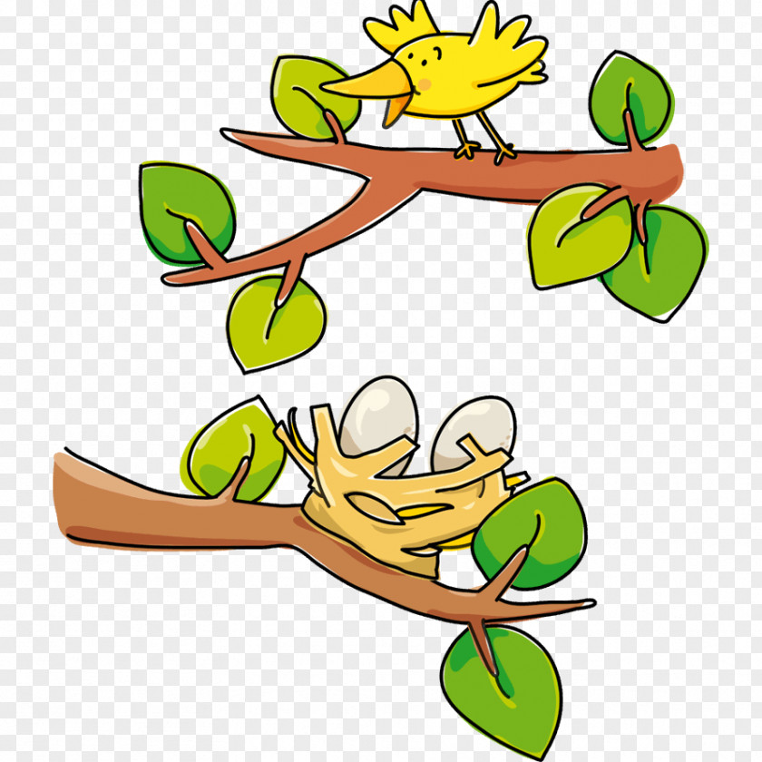 Child Branch Clip Art Sticker Nest PNG