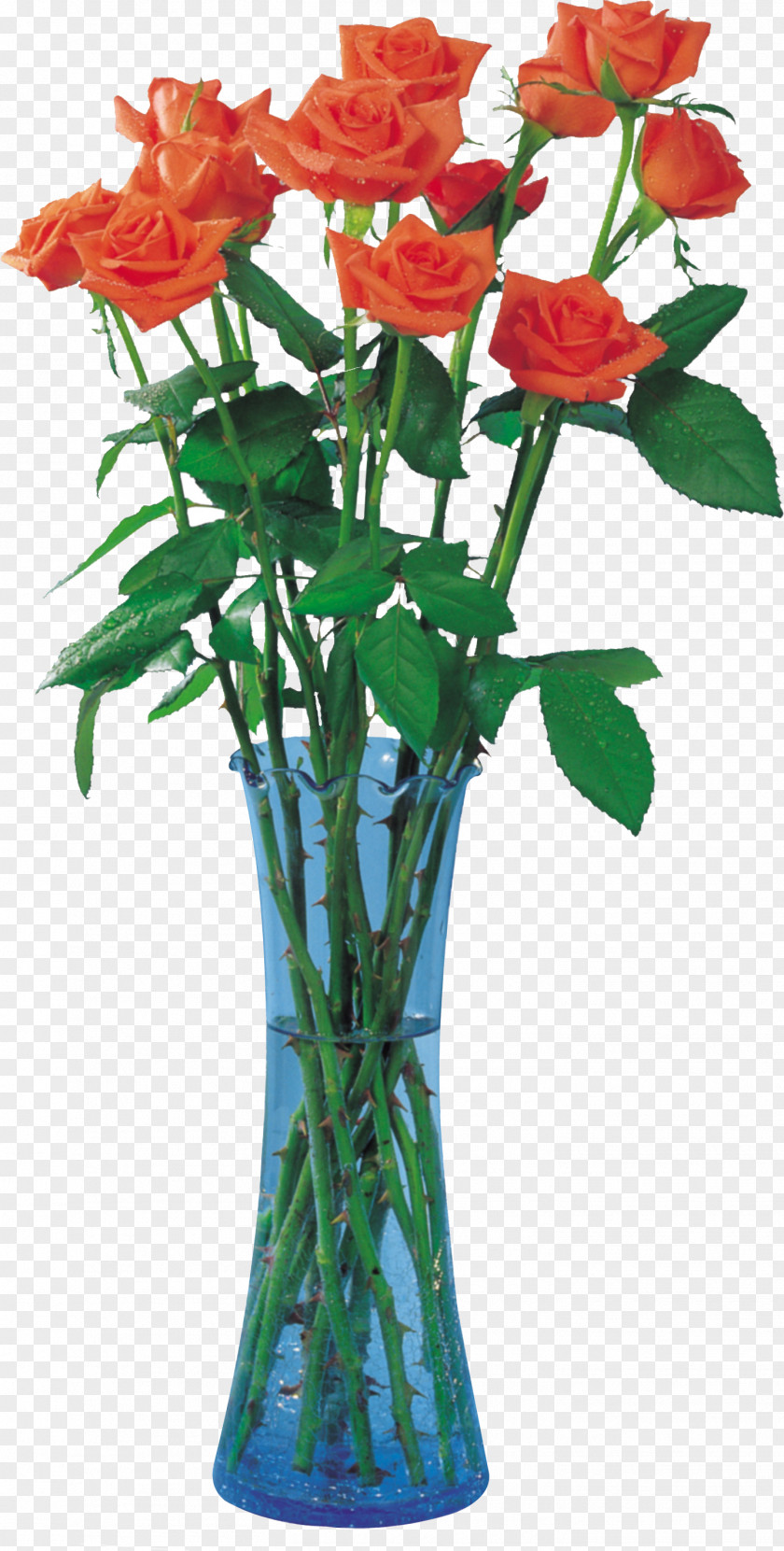 Glass Flowers Garden Roses Vase Flower Bouquet Cut PNG
