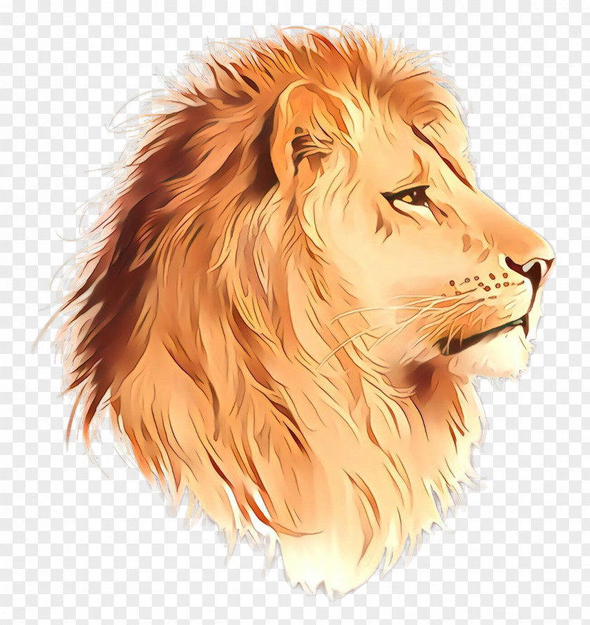 Lion Hair Masai Wildlife Head PNG