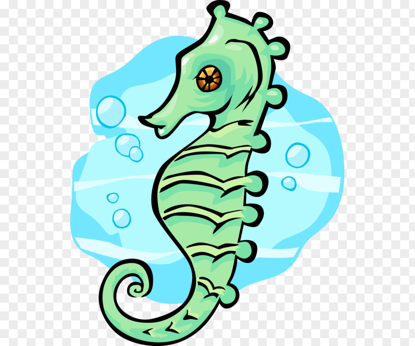 Seahorse Clip Art Vector Graphics Illustration Image PNG