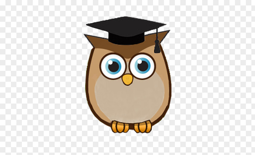 Sight Word Owl Beak Animated Cartoon Visual Perception PNG