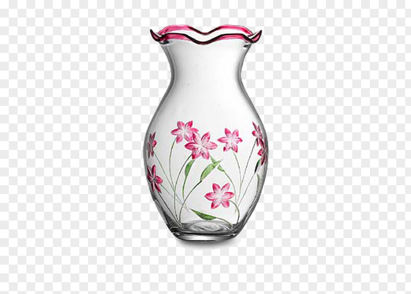 Vase Glass Hydrographics Price PNG