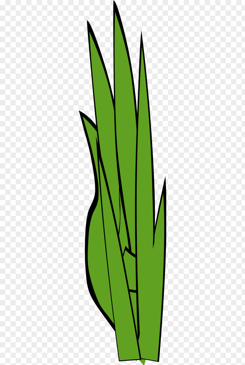 Clump Of Grass Clip Art Openclipart Image Royalty-free PNG