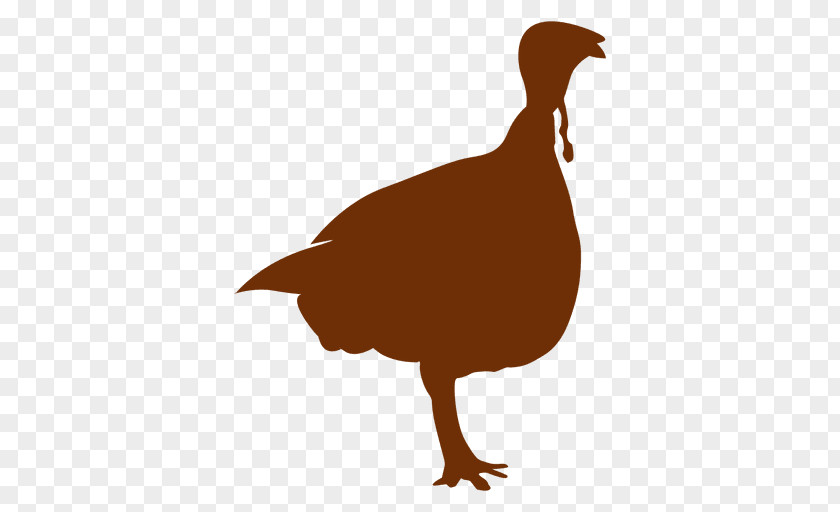 Duck Turkey Silhouette Clip Art PNG
