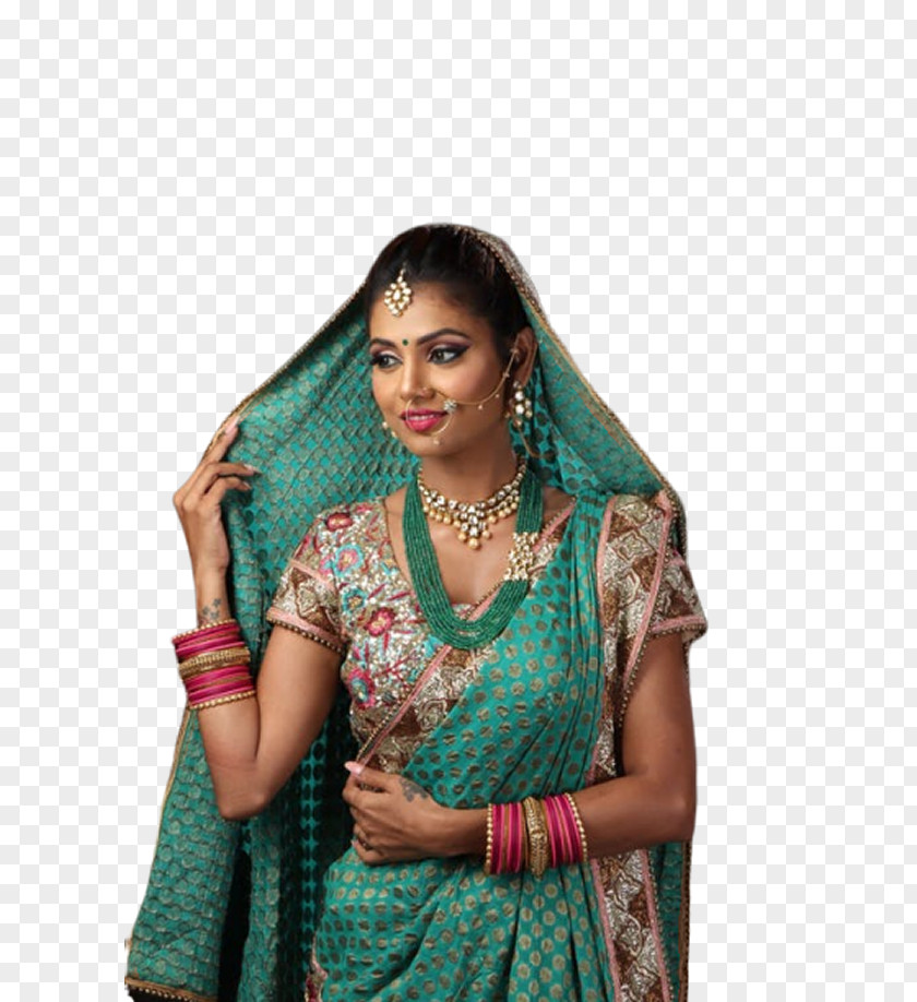 Paithani Silk Sari Blouse Brocade PNG