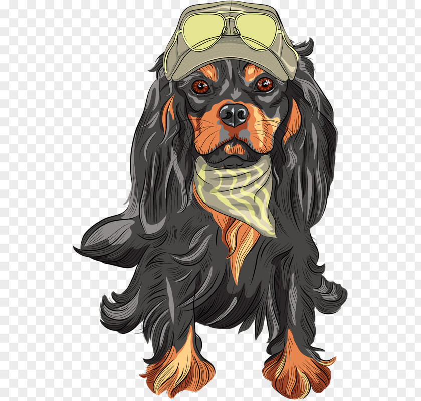 Cool Dog Cavalier King Charles Spaniel Poodle PNG