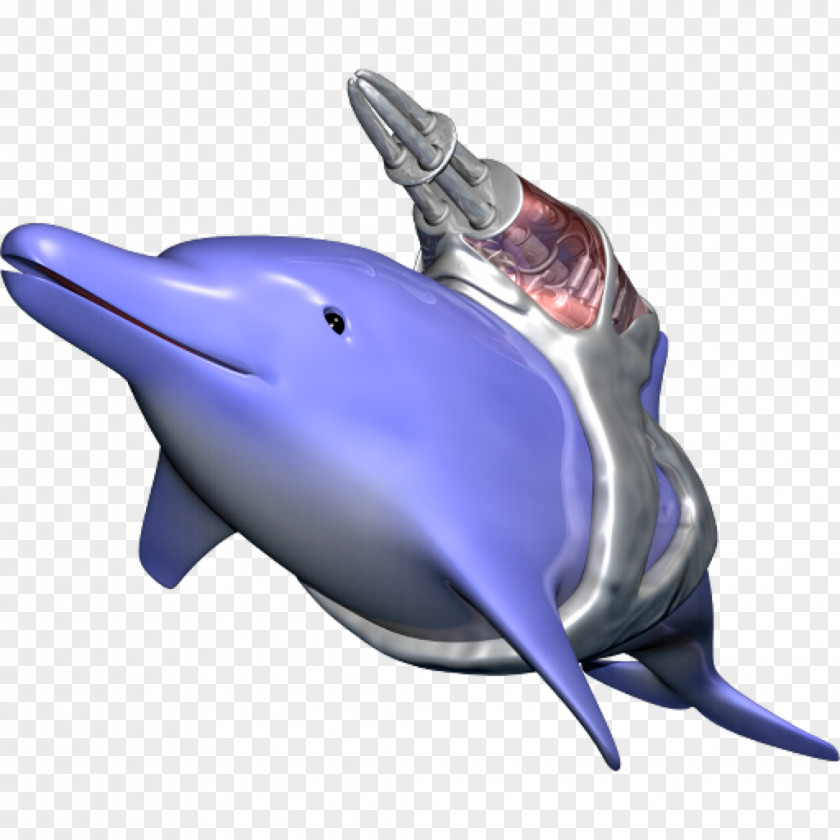 Dolphin Common Bottlenose Tucuxi Short-beaked Wholphin PNG