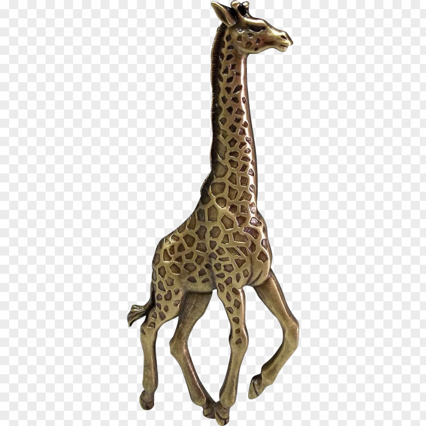 Giraff Giraffe Neck Terrestrial Animal Wildlife PNG