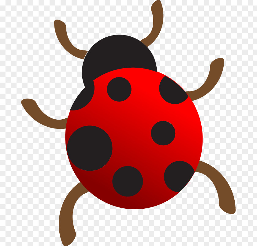 Hand-painted Seven-star Ladybug Ladybird Insect La Mariquita Coccinella Septempunctata PNG