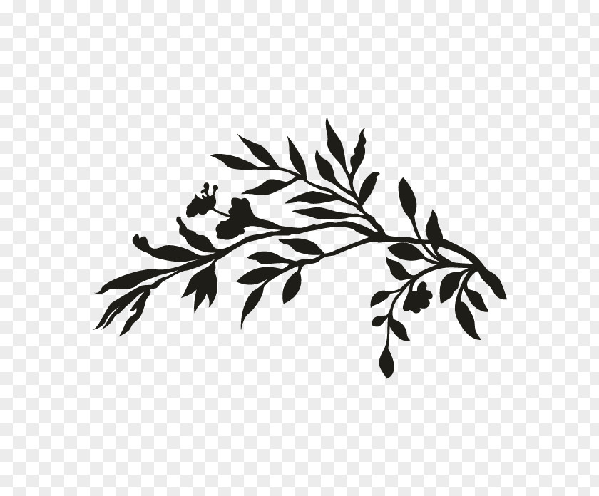 Leaf Twig Wedding Invitation Plant Stem Black PNG