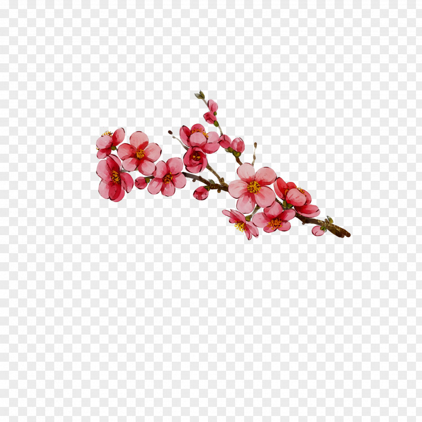 Moth Orchids Cut Flowers ST.AU.150 MIN.V.UNC.NR AD Cherry Blossom PNG