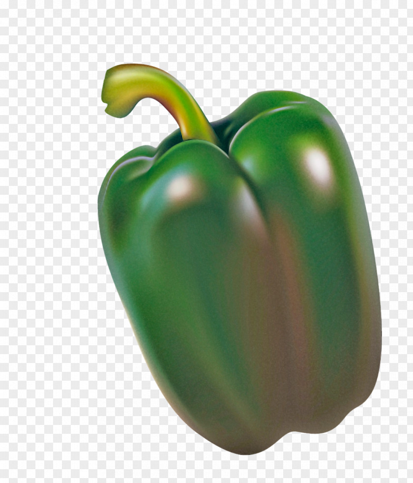 Plant Paprika Bell Pepper Pimiento Natural Foods Green Capsicum PNG