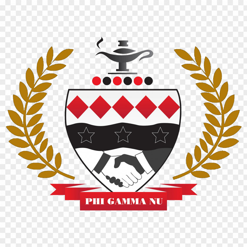Student Cornell University Phi Gamma Nu College PNG