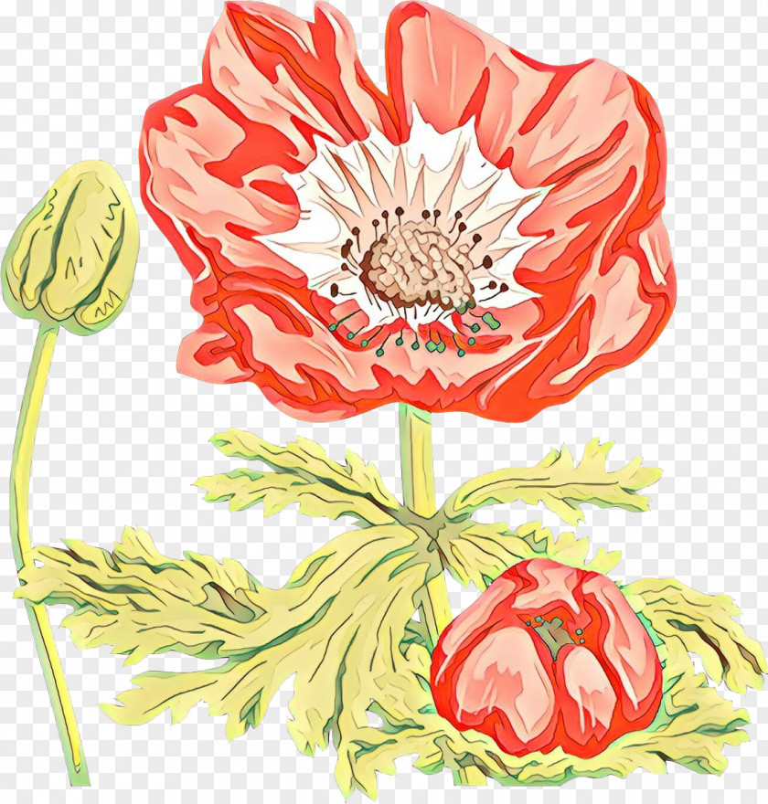 Coquelicot Protea Flower Cut Flowers Plant Clip Art Poppy Family PNG