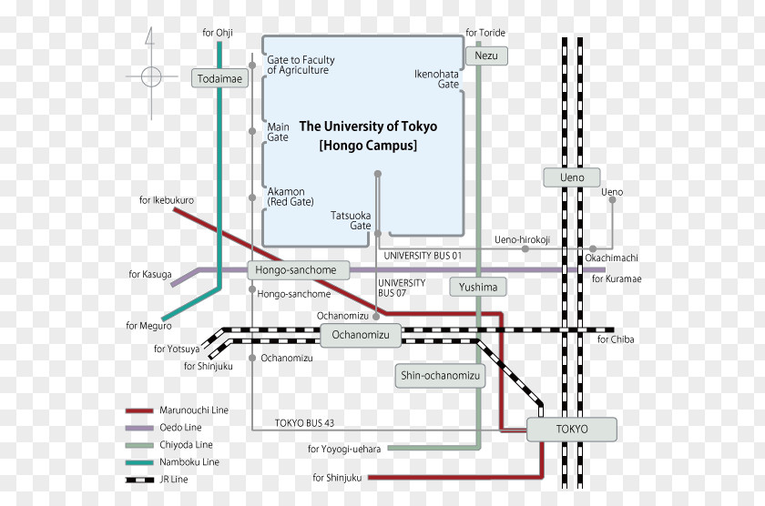 University Of Tokyo Institute Advanced Studies On Asia 東京大学大学院医学系研究科・医学部 Hongō Campus PNG