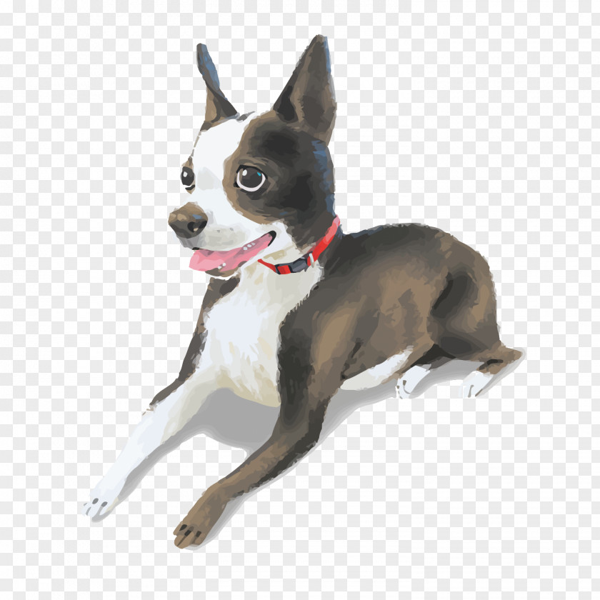 Vector Cartoon Dog Boston Terrier Vecteur PNG