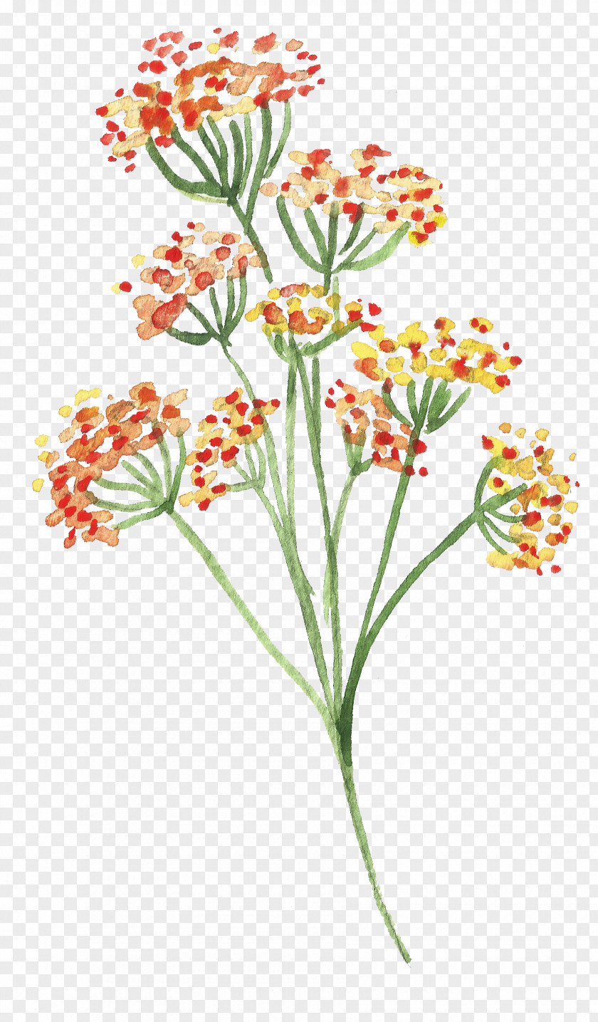 Watercolor Flowers Flower Painting Clip Art PNG