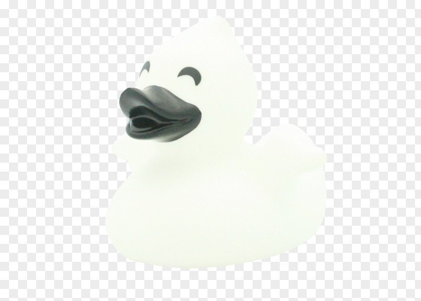 Duck Product Design Beak PNG