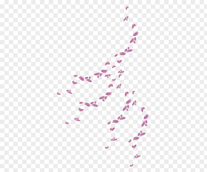 Flower Petal Clip Art PNG