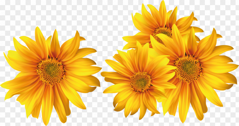 Flower Yellow DepositFiles Clip Art PNG