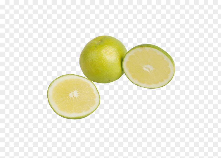 Lemon Picture Material Key Lime Juice Persian PNG