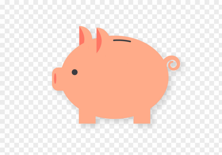 Piggy Bank Domestic Pig PNG