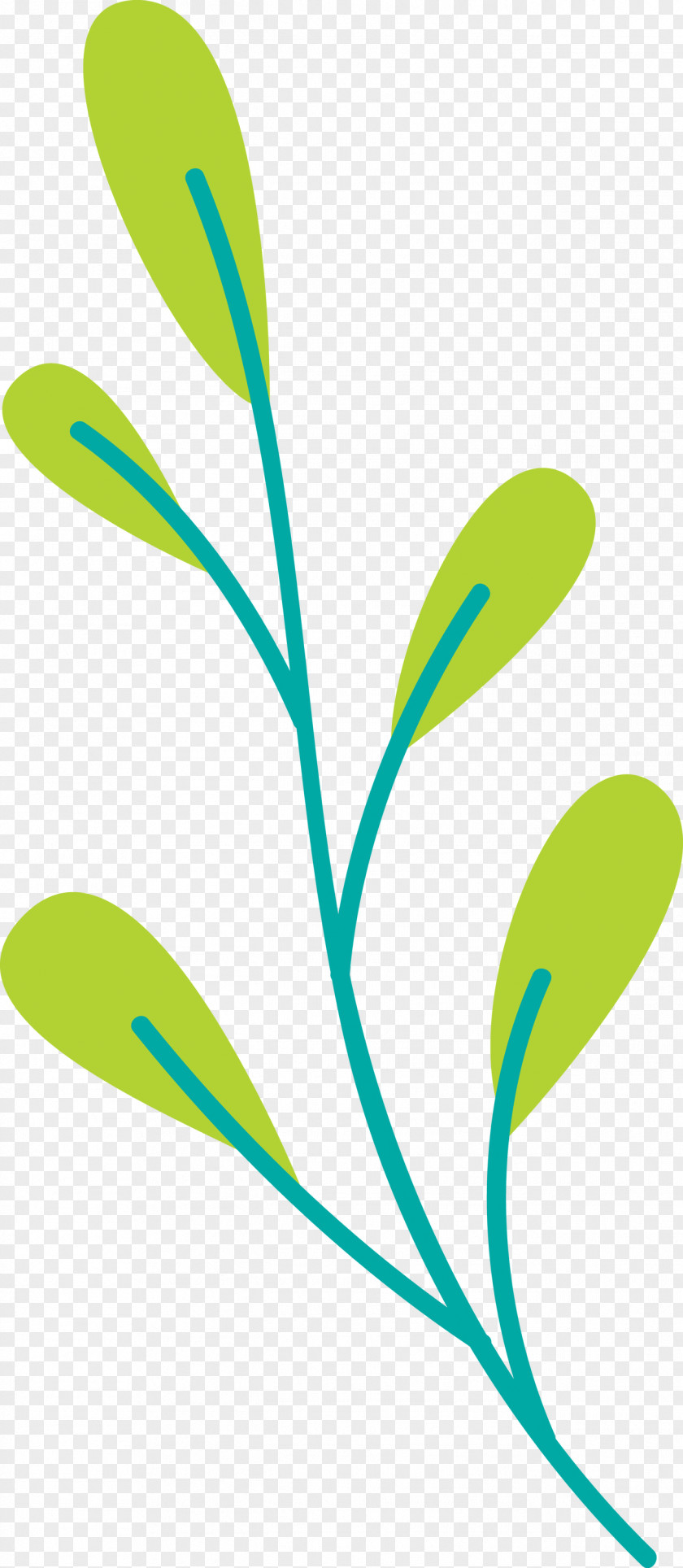 Plant Stem Branch Leaf Grasses Commodity PNG