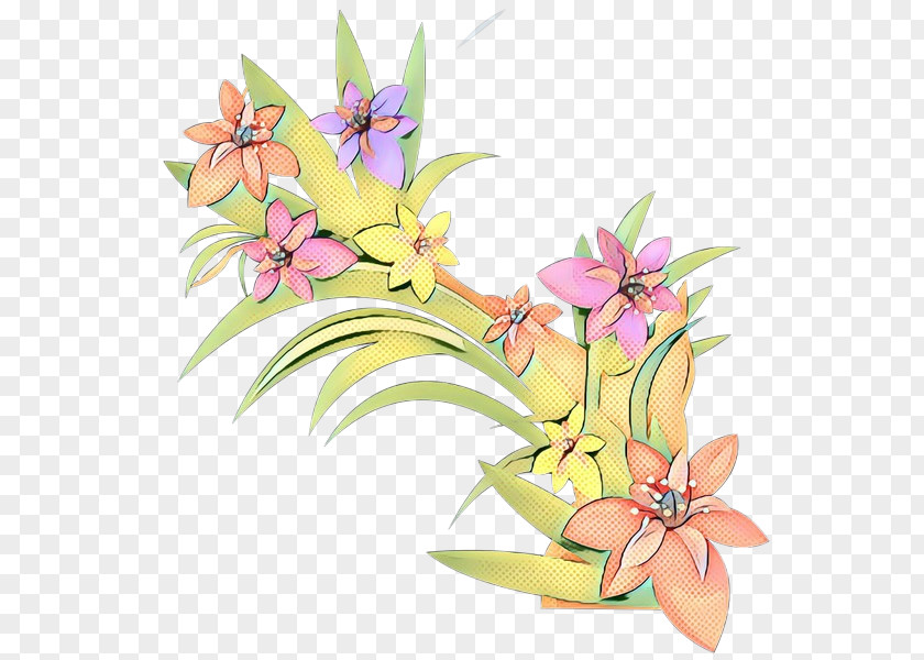 Cattleya Wildflower Floral Flower Background PNG