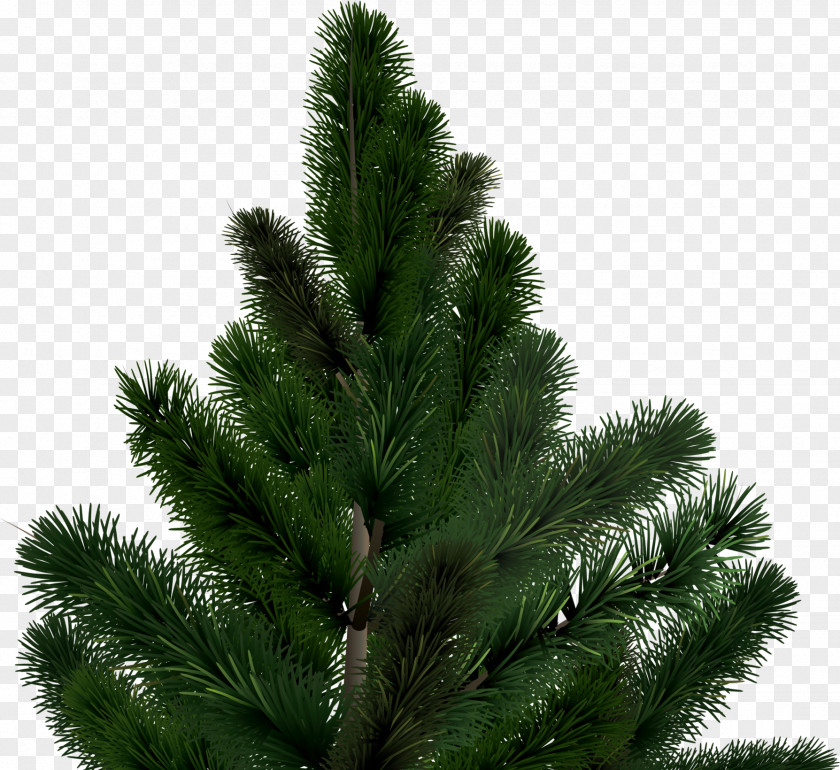 Fir-tree Download Christmas Tree Clip Art PNG