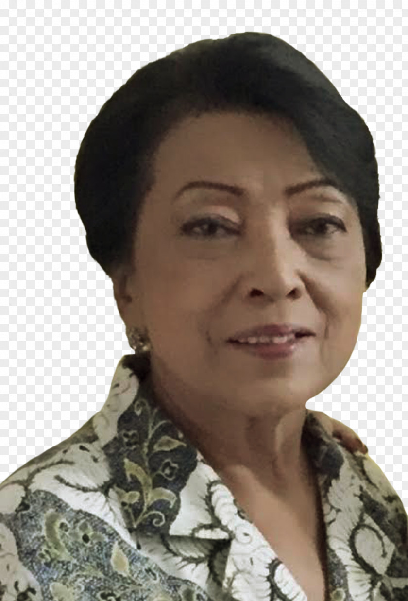 National Batik Eyebrow PNG