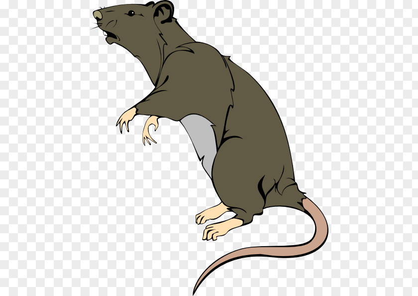 Acid Cliparts Brown Rat Mouse Rodent Laboratory Clip Art PNG