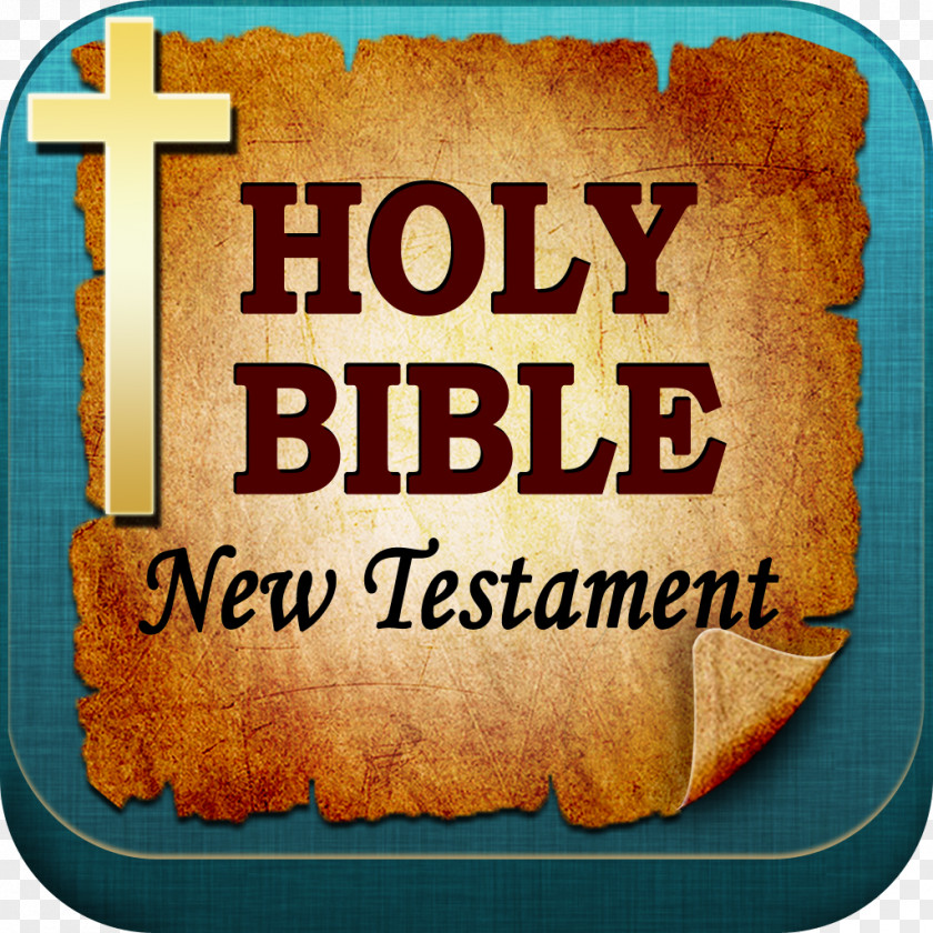 Holy Bible New Testament Old Today's International Version PNG
