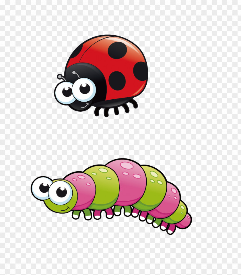 Ladybug Insect Drawing Cartoon Clip Art PNG