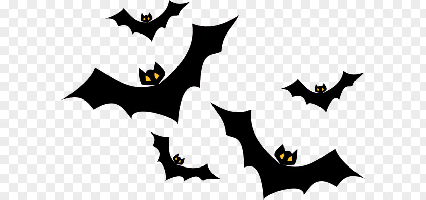 Halloween Bats Pictures Bat Clip Art PNG