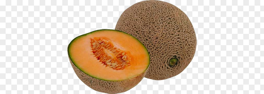Melon Cantaloupe Succade Santa Claus Fruit PNG