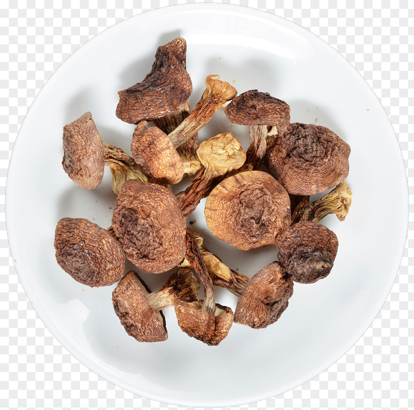 Mushroom Dietary Supplement Agaricus Subrufescens Medicinal Fungi PNG