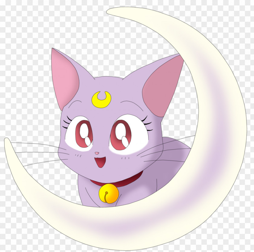 Sailor Moon Cat Chibiusa Luna Mercury PNG