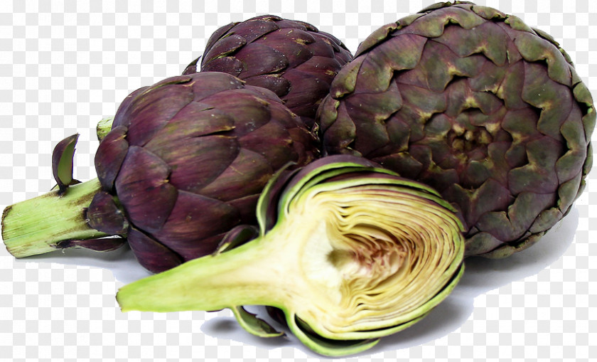 Artichokes Photos Artichoke Carciofi Alla Giudia Vegetable Fruit PNG