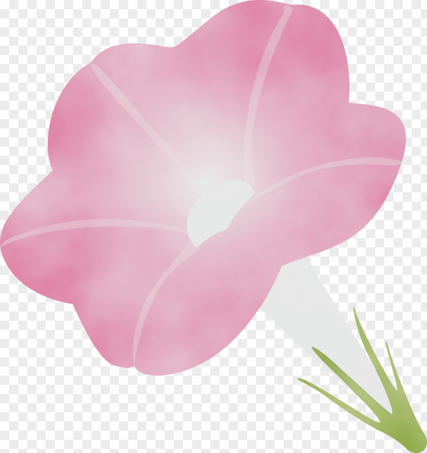 Petal Pink Flower Heart Plant PNG