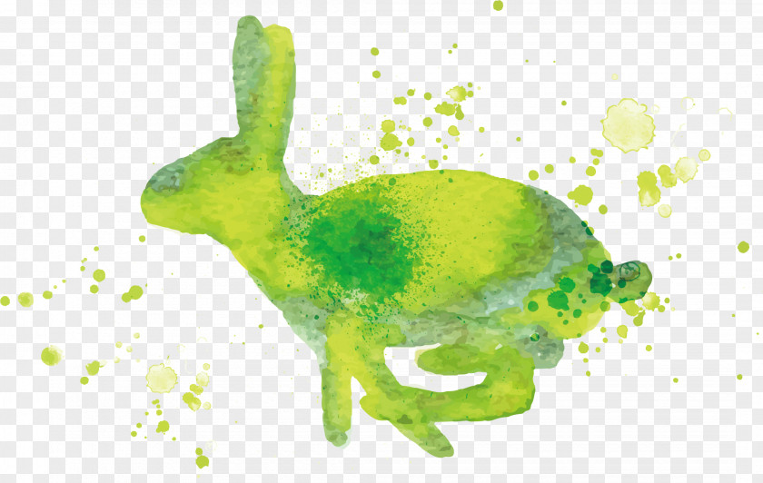 Vector Rabbit Hare Graphic Design Illustration PNG